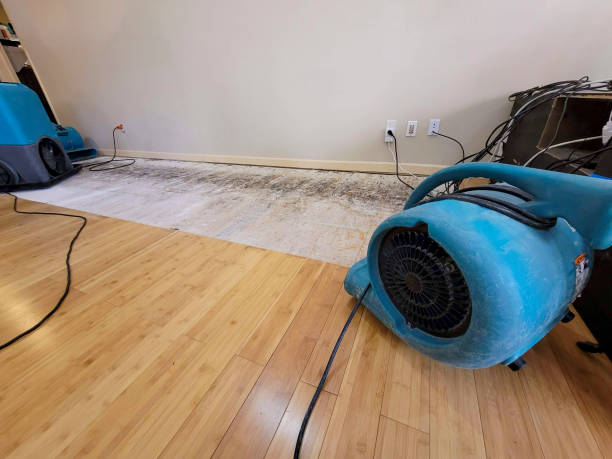Professional Water Removal technician working in Brandon, FL